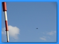 Foto0029